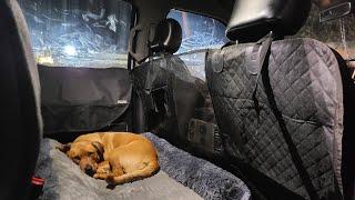 team k9 truck seat cover