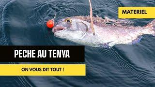 Pêche de la dorade et du pagre au Tenya : bien choisir son matériel.