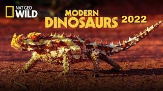 Modern Dinosaurs [English subtitles] - National geographic new Documentary 2022 .