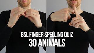 BSL Finger Spelling Quiz for Beginners: 30 Animals