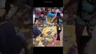ÉXTASIS EN CUBA. Recogiendo el tesoro del suelo 