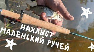 НАХЛЫСТ x МАЛЕНЬКИЙ РУЧЕЙ x ЯЗЬ НА СУХУЮ МУШКУ #56