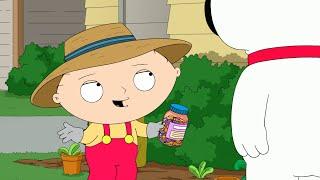 Stewie se Vuelve Agricultor PADRE DE FAMILIA CAPITULOS COMPLETOS EN ESPAÑOL LATINO