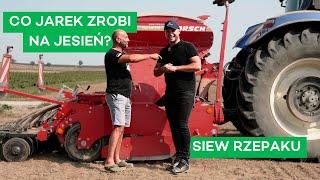 RZEPAK - CO ZROBIĆ PO SIEWIE? - #317 nawozy nonstop