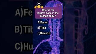 Quiz Hub-Too easy?How many correct answers did you get? #trivia #quiz #gameplay #fyp #games