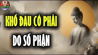 Khổ Đau Có Phải Do Số Phận - Chánh Pháp Tuệ Giác