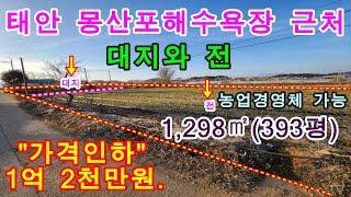 [매물번호267번]태안부동산(전원주택지)"1억2천만원으로 가격인하".몽산포해수욕장 근처 정남향의 대지와 전.041-673-9909.태안한빛부동산.