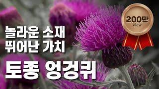 [황금나침반] 한국의 산야초!  토종 엉겅퀴 세계화 / YTN 사이언스