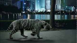 Johnnie Walker - Night Tiger