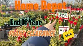 HOME DEPOT End Of The Year 2024 Plant CLEARANCE SALE! December Inventory Tour.