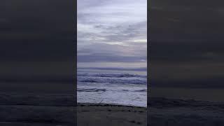Viguen