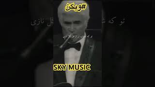 #ویگن #vigen #music #persiansinger #iranian #shorts