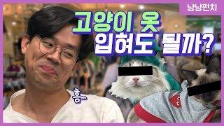 고양이 옷은 “이 때” 입히세요 (feat. 미야옹철 수의사)