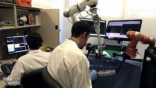 Robotic surgeon stitches up pig intestinal tissue