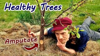 Prune your tree! Combat Disease and Rampant rootstocks!