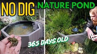 One year on, the EASIEST WILDLIFE POND I have built. How has it done?