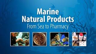 Marine Natural Products: From Sea to Pharmacy