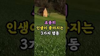 조용히 인생이 좋아지는 3가지 행동 #명언 #지혜 #좋은글