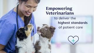Veterinary Instrumentation Brand Video