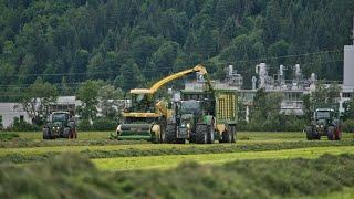 2. Schnitt Silage/ Fendt und John Deere