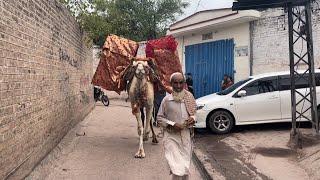 Saleh Khana Kotli Kalan Street Vlog ️|| Village Life || Haider Said Vlogs ||