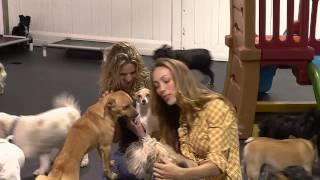 At Home With Didiayer - Show Promo
