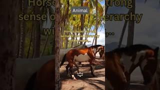 Animal facts #horsesofinstagram #profound #animallover #horses #shorts