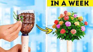 ‍ Gardening Hacks 101! Amazing Planting Techniques and Plastic Bottle Craft Ideas for Plants