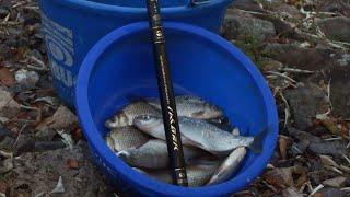 #shorts Вся рыбалка за минуту. All fishing in a minute.