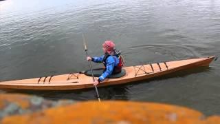 Pygmy Murrelet Sea Kayak | Review | Adventure Kayak | Rapid Media