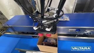 Delta robot pick and place case packing system Valtara PKR MS