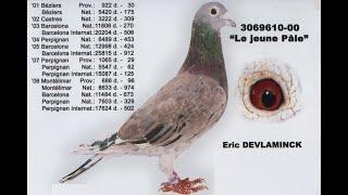 Pigeon-Master : Eric Devlaminck, légende du grand fond (with english subtitles)