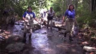 Saving Southern Appalachian Brook Trout