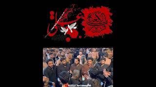 Shahadat Mola Ali Noha 2024 #noha #shortvideo #short #foryou #ayyameali #yaali #dareahlebait110