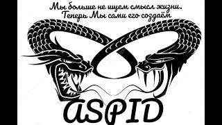 Спец операции и снова в бой Aspid Sakumi