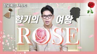 향기의 여왕, 향료계의 MSG, 장미에 대해 알려드립니다 | 향기의 모든것
