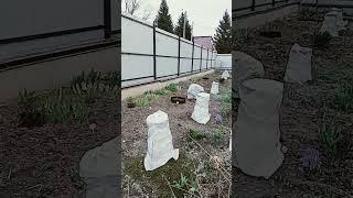 Обещают резкое похолодание.Что предприняла.