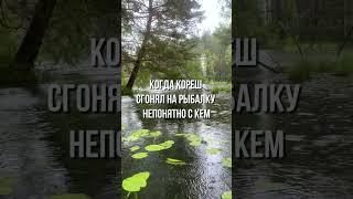 Если друг оказался вдруг...  #рыбалка