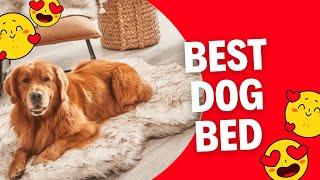 Best dog bed - Orthopedic Dog Bed