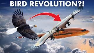 Are BIRDS the KEY to the Future of Aviation?!