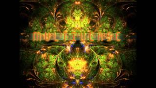 DJ Stevo - Multiverse [Neogoa Records Goa Trance Set]