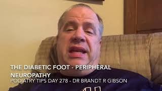 The Diabetic Foot - Peripheral Neuropathy