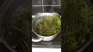 Как ИЗБАВИТЬСЯ от неприятного ЗАПАХА пота//САМЫЙ  Полезный ЛАЙФХАК//ЭКО - ДЕЗОДОРАНТ