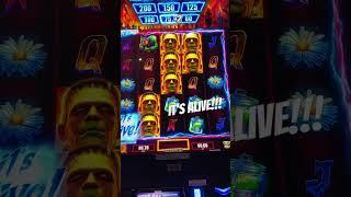 Big win on a low bet! #slots #colorado #casino