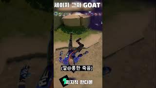 방송인이라고 의심하는 귀여운 잼미니