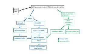 NIPPV Education Session Curriculum w Audio