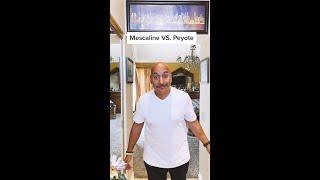 Mescaline VS. Peyote #Shorts