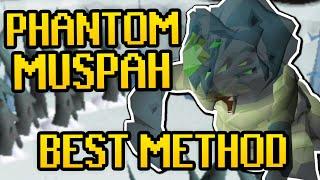 EASY Method Phantom Muspah Guide 2024 (Low/Med/High Level & Budget Setup)