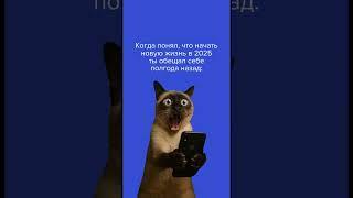#содействиезанятости #карьера #новаяжизнь #лето_2025 #обучение #жизненно #тренды #юмор