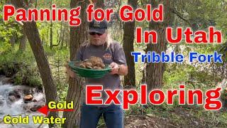 Gold in Utah? Out on an Adventure looking for Gold. Utah does have Gold.